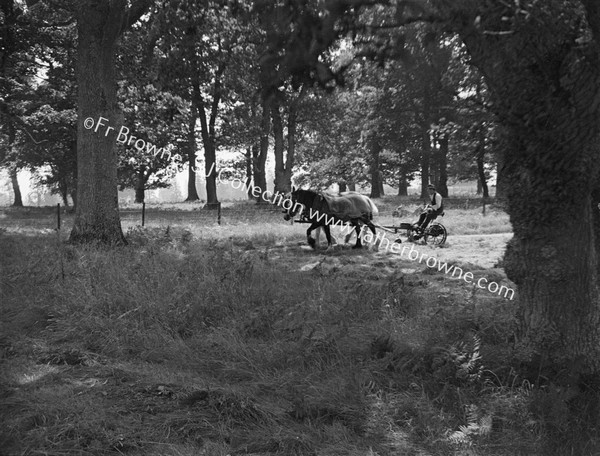 PLOUGHING WITH HORSE